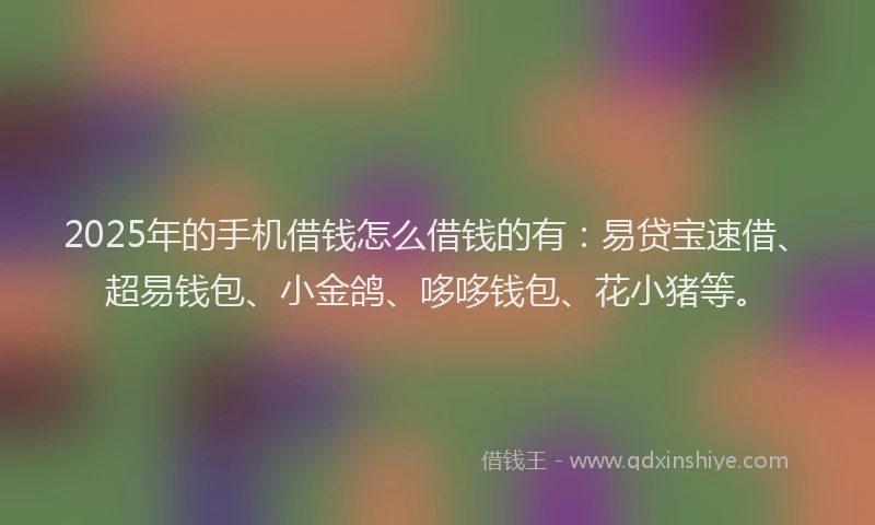 2025年的手机借钱怎么借钱的有：易贷宝速借、超易钱包、小金鸽、哆哆钱包、花小猪等。