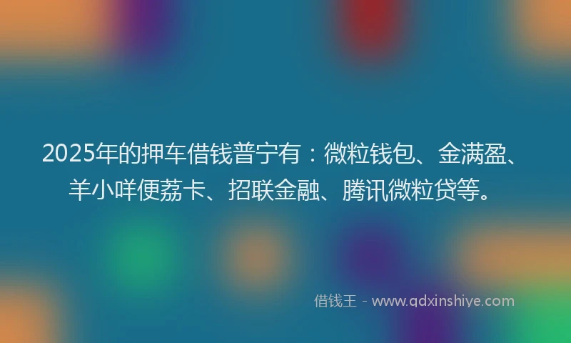 2025年的押车借钱普宁有：微粒钱包、金满盈、羊小咩便荔卡、招联金融、腾讯微粒贷等。