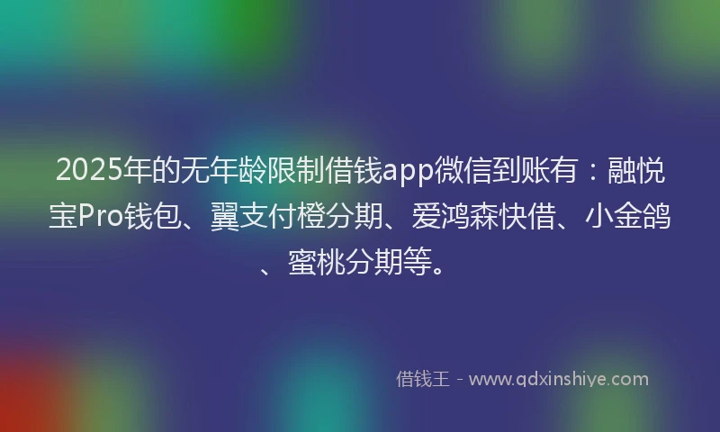 2025年的无年龄限制借钱app微信到账有：融悦宝Pro钱包、翼支付橙分期、爱鸿森快借、小金鸽、蜜桃分期等。