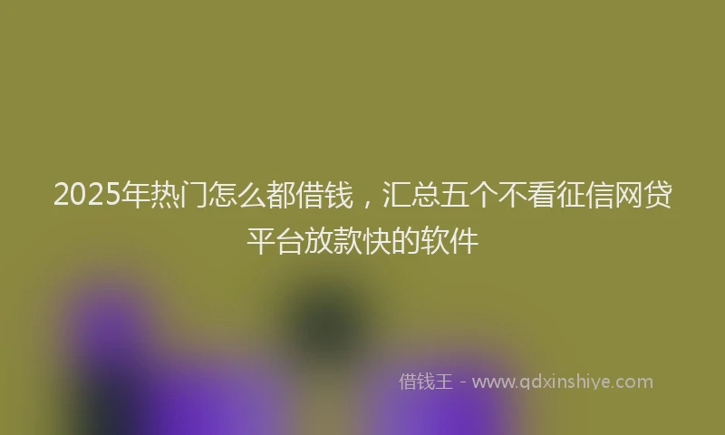 2025年热门怎么都借钱，汇总五个不看征信网贷平台放款快的软件
