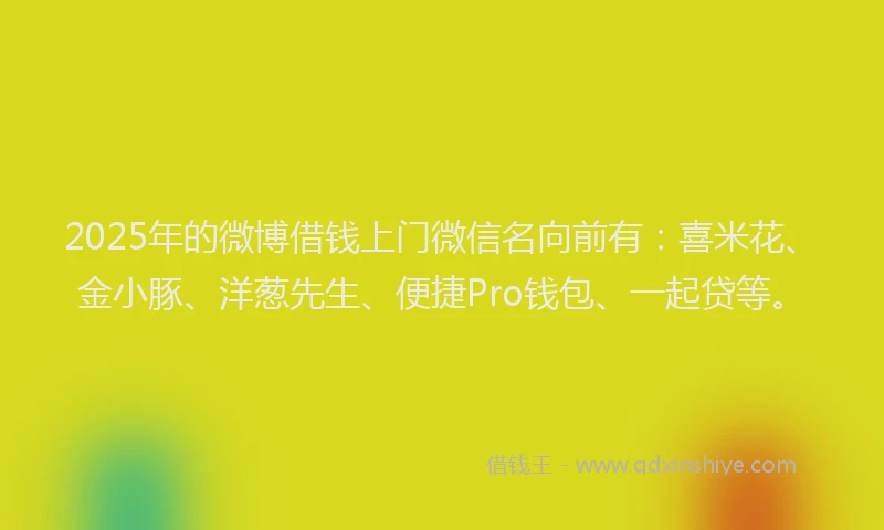 2025年的微博借钱上门微信名向前有：喜米花、金小豚、洋葱先生、便捷Pro钱包、一起贷等。