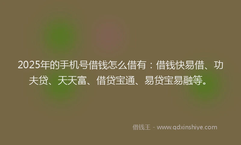 2025年的手机号借钱怎么借有：借钱快易借、功夫贷、天天富、借贷宝通、易贷宝易融等。