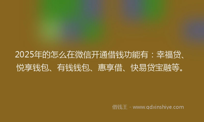2025年的怎么在微信开通借钱功能有：幸福贷、悦享钱包、有钱钱包、惠享借、快易贷宝融等。