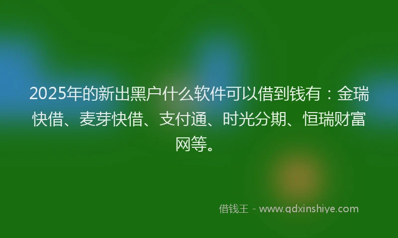 2025年的新出黑户什么软件可以借到钱有：金瑞快借、麦芽快借、支付通、时光分期、恒瑞财富网等。