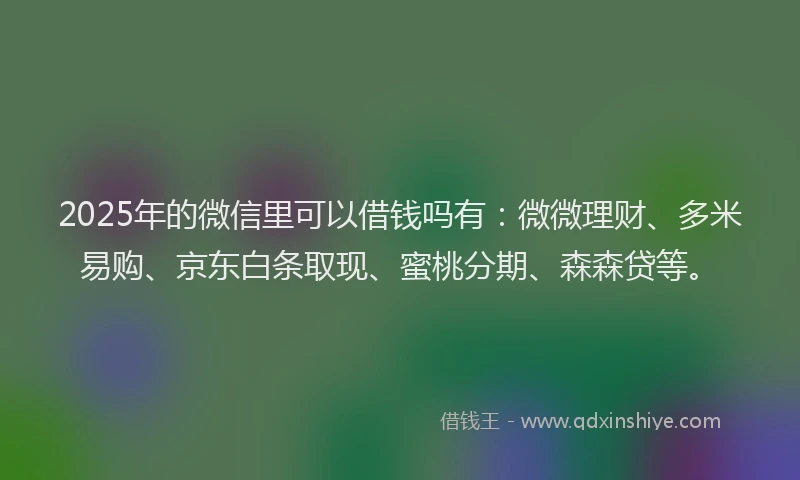 2025年的微信里可以借钱吗有：微微理财、多米易购、京东白条取现、蜜桃分期、森森贷等。