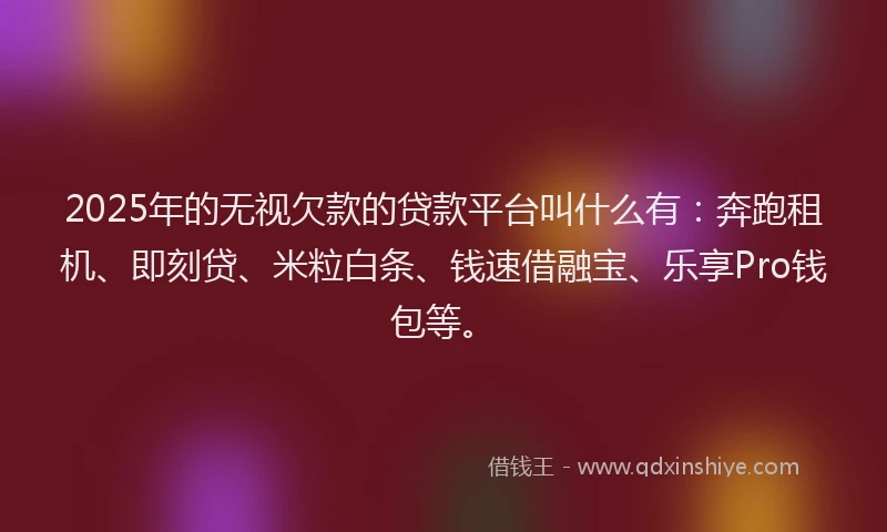 2025年的无视欠款的贷款平台叫什么有：奔跑租机、即刻贷、米粒白条、钱速借融宝、乐享Pro钱包等。