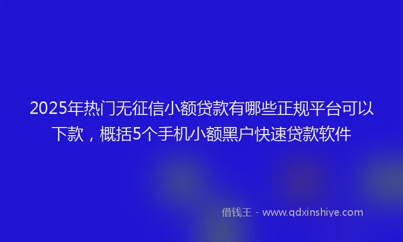 2025年热门无征信小额贷款有哪些正规平台可以下款，概括5个手机小额黑户快速贷款软件