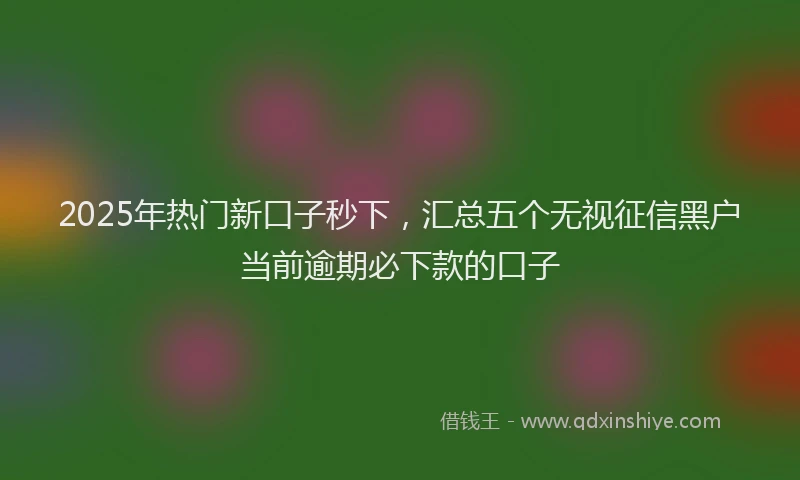 2025年热门新口子秒下，汇总五个无视征信黑户当前逾期必下款的口子