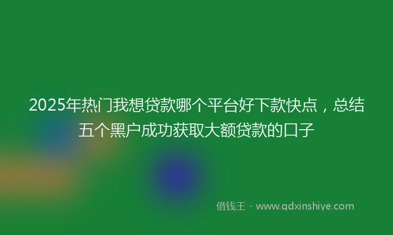 2025年热门我想贷款哪个平台好下款快点，总结五个黑户成功获取大额贷款的口子