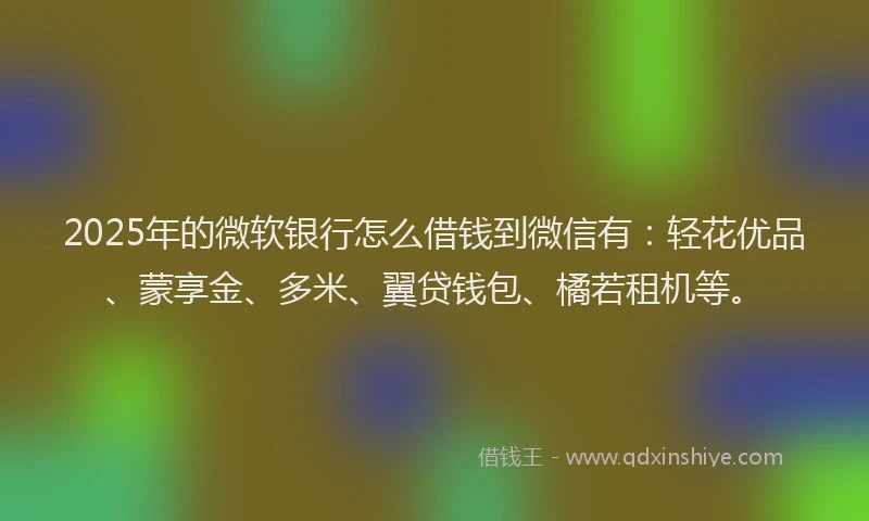 2025年的微软银行怎么借钱到微信有：轻花优品、蒙享金、多米、翼贷钱包、橘若租机等。