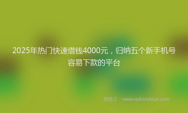2025年热门快速借钱4000元，归纳五个新手机号容易下款的平台