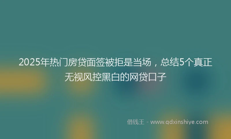 2025年热门房贷面签被拒是当场，总结5个真正无视风控黑白的网贷口子