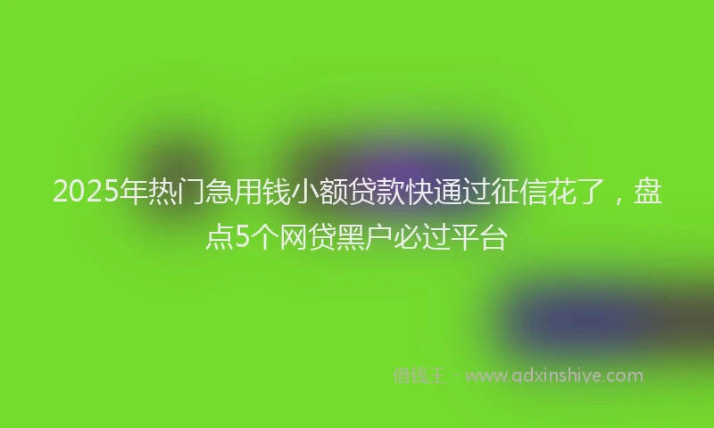 2025年热门急用钱小额贷款快通过征信花了，盘点5个网贷黑户必过平台