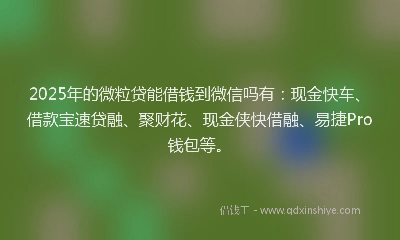 2025年的微粒贷能借钱到微信吗有：现金快车、借款宝速贷融、聚财花、现金侠快借融、易捷Pro钱包等。
