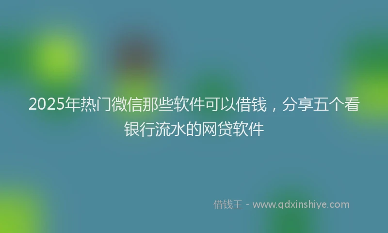 2025年热门微信那些软件可以借钱，分享五个看银行流水的网贷软件
