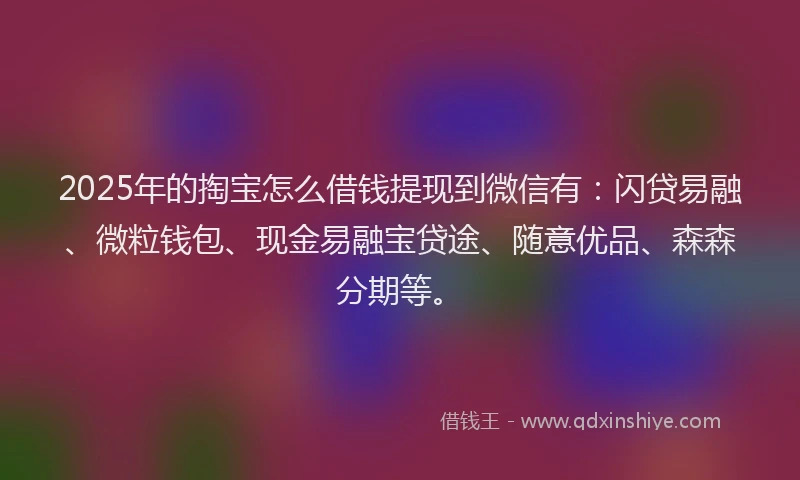 2025年的掏宝怎么借钱提现到微信有：闪贷易融、微粒钱包、现金易融宝贷途、随意优品、森森分期等。