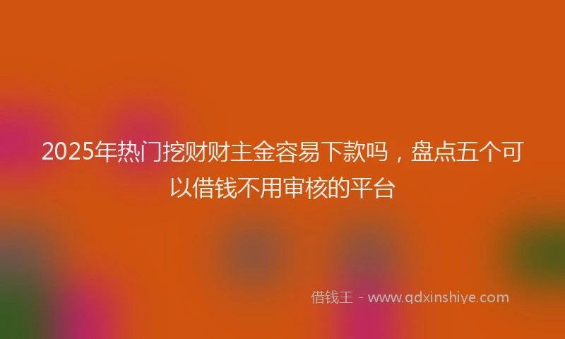 2025年热门挖财财主金容易下款吗，盘点五个可以借钱不用审核的平台
