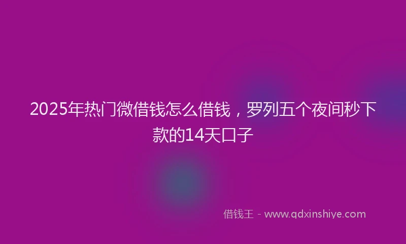 2025年热门微借钱怎么借钱，罗列五个夜间秒下款的14天口子