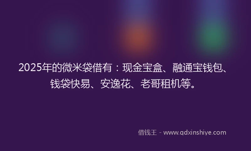 2025年的微米袋借有：现金宝盒、融通宝钱包、钱袋快易、安逸花、老哥租机等。