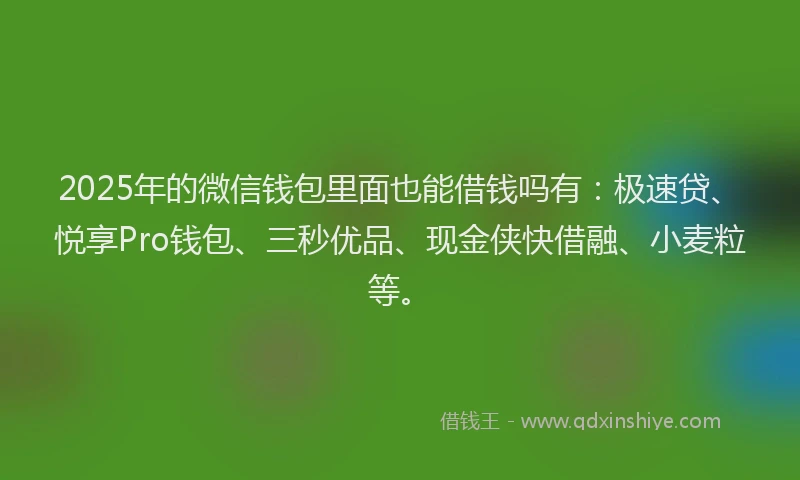 2025年的微信钱包里面也能借钱吗有：极速贷、悦享Pro钱包、三秒优品、现金侠快借融、小麦粒等。