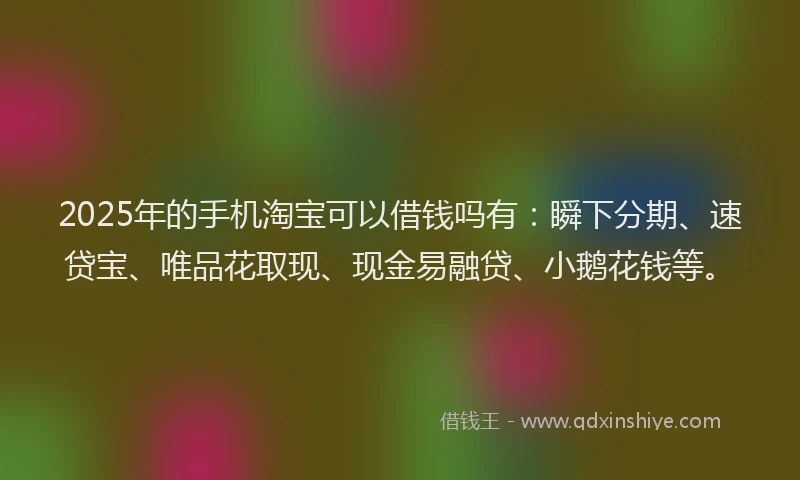 2025年的手机淘宝可以借钱吗有：瞬下分期、速贷宝、唯品花取现、现金易融贷、小鹅花钱等。