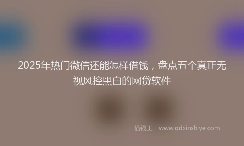 2025年热门微信还能怎样借钱，盘点五个真正无视风控黑白的网贷软件