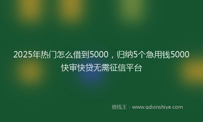 2025年热门怎么借到5000，归纳5个急用钱5000快审快贷无需征信平台