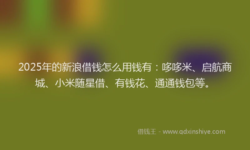 2025年的新浪借钱怎么用钱有：哆哆米、启航商城、小米随星借、有钱花、通通钱包等。