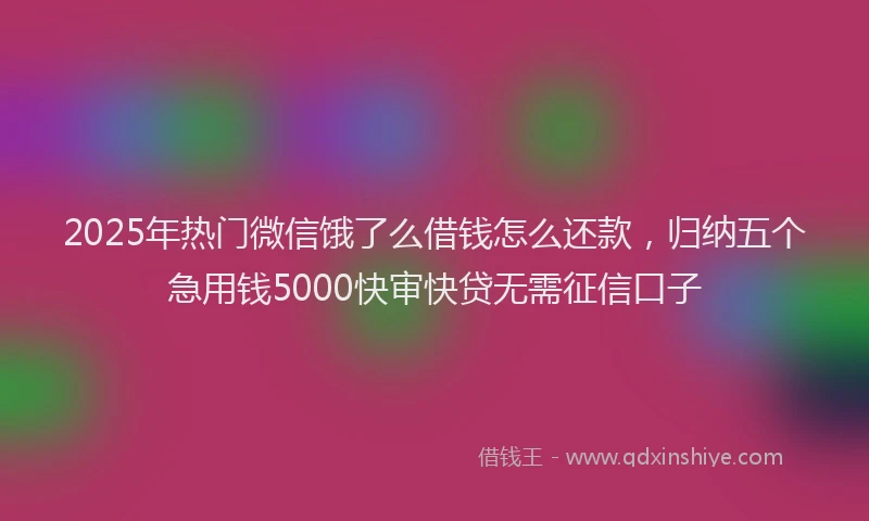 2025年热门微信饿了么借钱怎么还款，归纳五个急用钱5000快审快贷无需征信口子