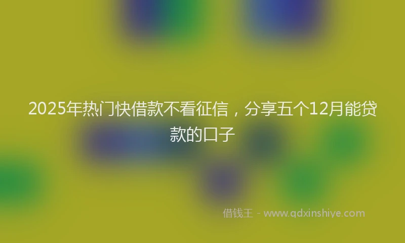 2025年热门快借款不看征信，分享五个12月能贷款的口子