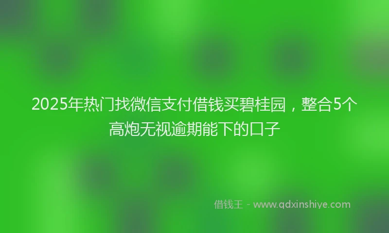 2025年热门找微信支付借钱买碧桂园，整合5个高炮无视逾期能下的口子