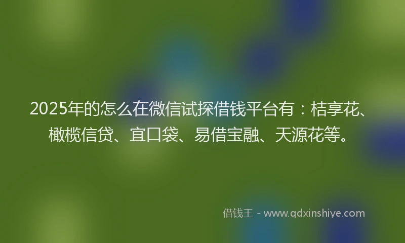 2025年的怎么在微信试探借钱平台有：桔享花、橄榄信贷、宜口袋、易借宝融、天源花等。