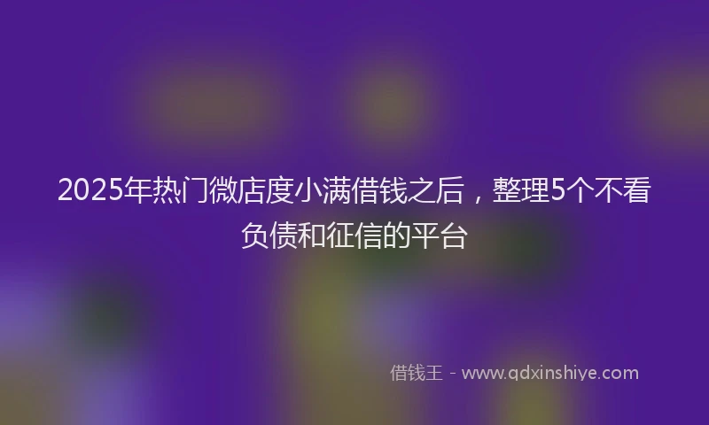2025年热门微店度小满借钱之后，整理5个不看负债和征信的平台