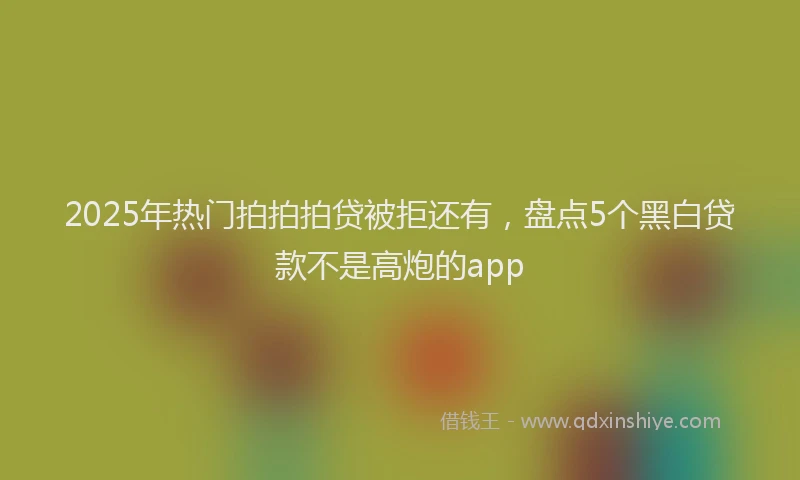 2025年热门拍拍拍贷被拒还有，盘点5个黑白贷款不是高炮的app