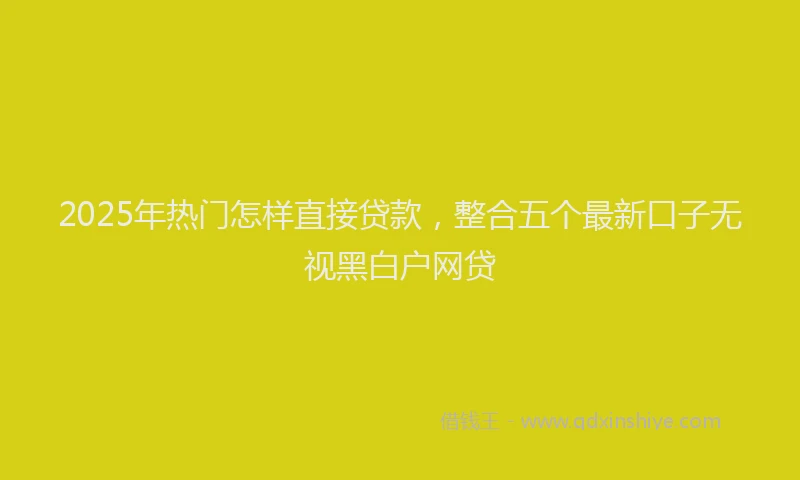 2025年热门怎样直接贷款，整合五个最新口子无视黑白户网贷