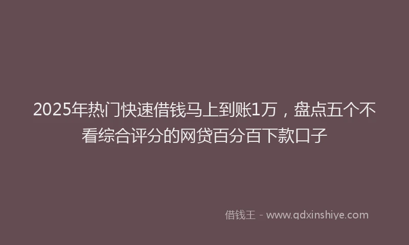 2025年热门快速借钱马上到账1万，盘点五个不看综合评分的网贷百分百下款口子