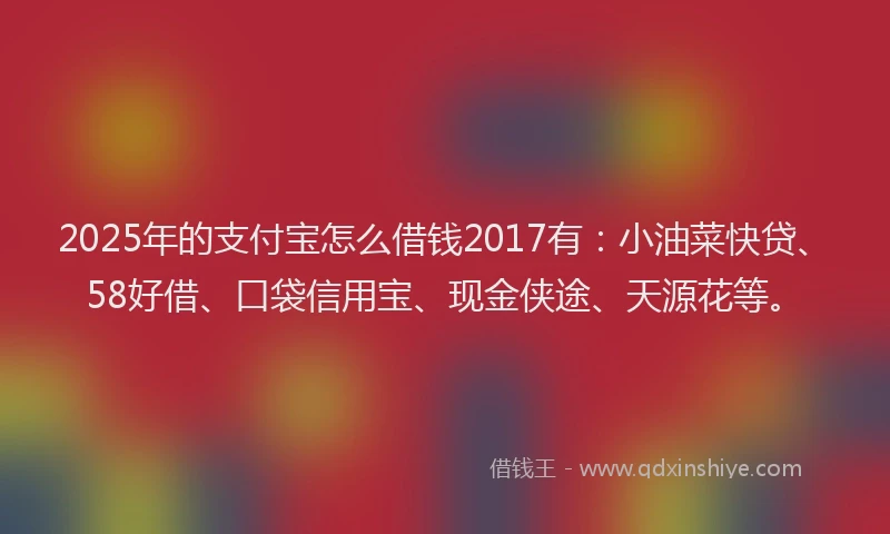 2025年的支付宝怎么借钱2017有：小油菜快贷、58好借、口袋信用宝、现金侠途、天源花等。