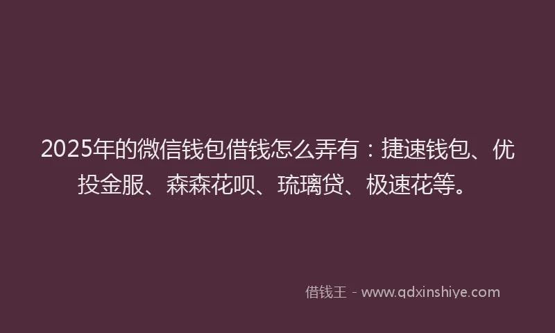 2025年的微信钱包借钱怎么弄有：捷速钱包、优投金服、森森花呗、琉璃贷、极速花等。