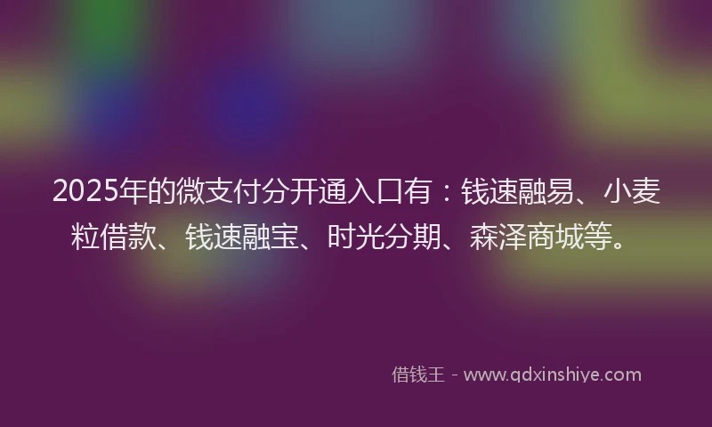 2025年的微支付分开通入口有：钱速融易、小麦粒借款、钱速融宝、时光分期、森泽商城等。
