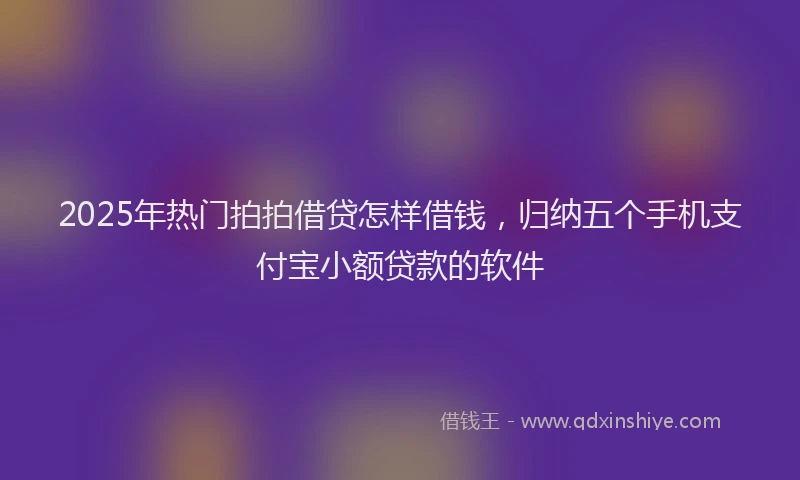 2025年热门拍拍借贷怎样借钱，归纳五个手机支付宝小额贷款的软件
