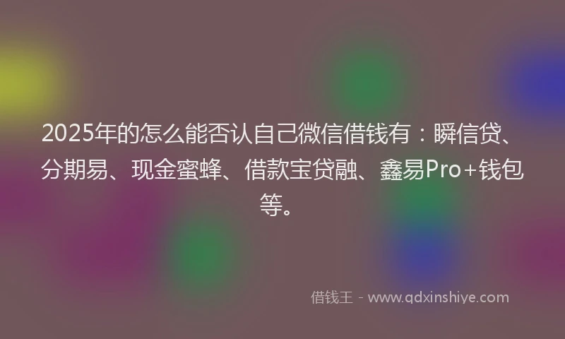 2025年的怎么能否认自己微信借钱有：瞬信贷、分期易、现金蜜蜂、借款宝贷融、鑫易Pro+钱包等。
