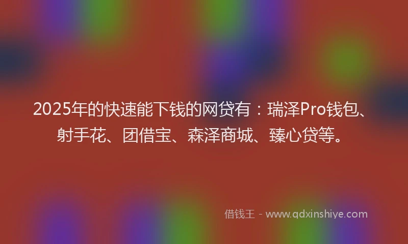 2025年的快速能下钱的网贷有：瑞泽Pro钱包、射手花、团借宝、森泽商城、臻心贷等。