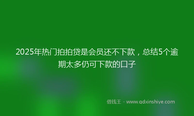 2025年热门拍拍贷是会员还不下款，总结5个逾期太多仍可下款的口子
