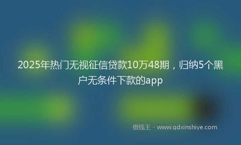 2025年热门无视征信贷款10万48期，归纳5个黑户无条件下款的app