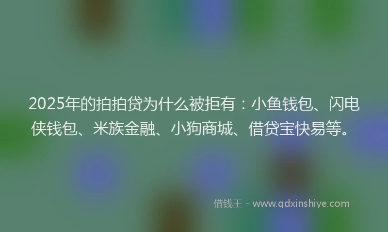 2025年的拍拍贷为什么被拒有：小鱼钱包、闪电侠钱包、米族金融、小狗商城、借贷宝快易等。