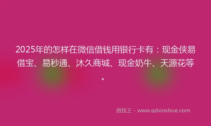 2025年的怎样在微信借钱用银行卡有：现金侠易借宝、易秒通、沐久商城、现金奶牛、天源花等。