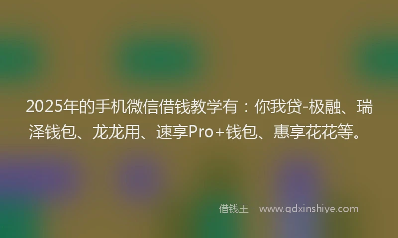 2025年的手机微信借钱教学有：你我贷-极融、瑞泽钱包、龙龙用、速享Pro+钱包、惠享花花等。