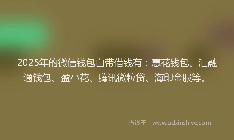 2025年的微信钱包自带借钱有：惠花钱包、汇融通钱包、盈小花、腾讯微粒贷、海印金服等。