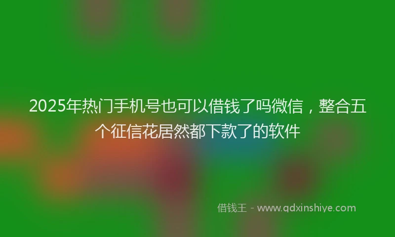 2025年热门手机号也可以借钱了吗微信，整合五个征信花居然都下款了的软件