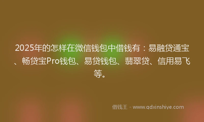 2025年的怎样在微信钱包中借钱有：易融贷通宝、畅贷宝Pro钱包、易贷钱包、翡翠贷、信用易飞等。